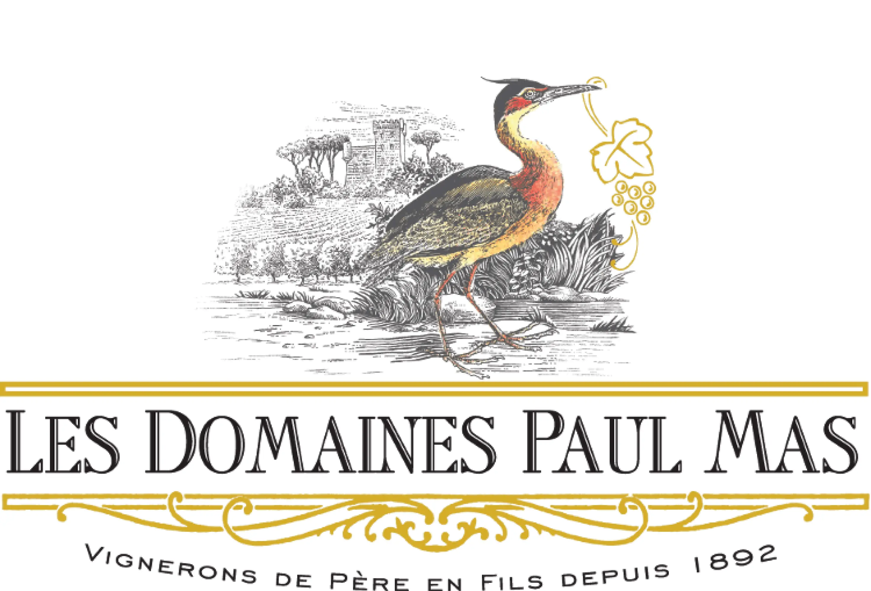 Paul Mas